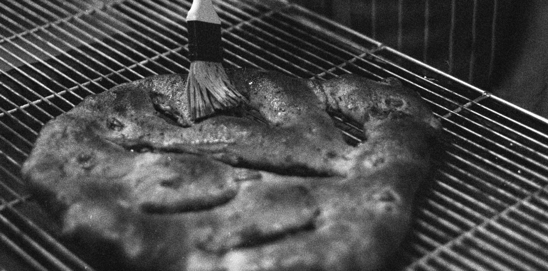 fougasse