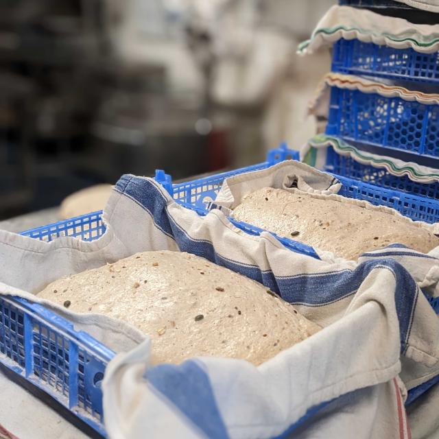 Stockholm Loaves Proving in Mushroom boxes e5 Bakehouse